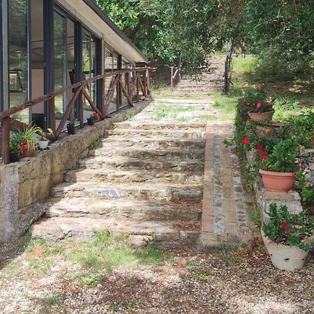 הוילה אשאה Agriturismo La Focazza מראה חיצוני תמונה