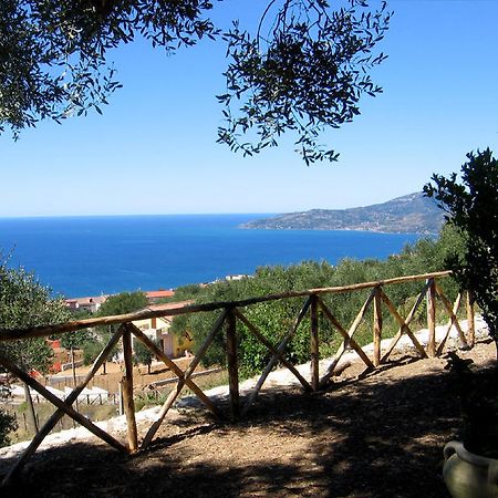 הוילה אשאה Agriturismo La Focazza מראה חיצוני תמונה