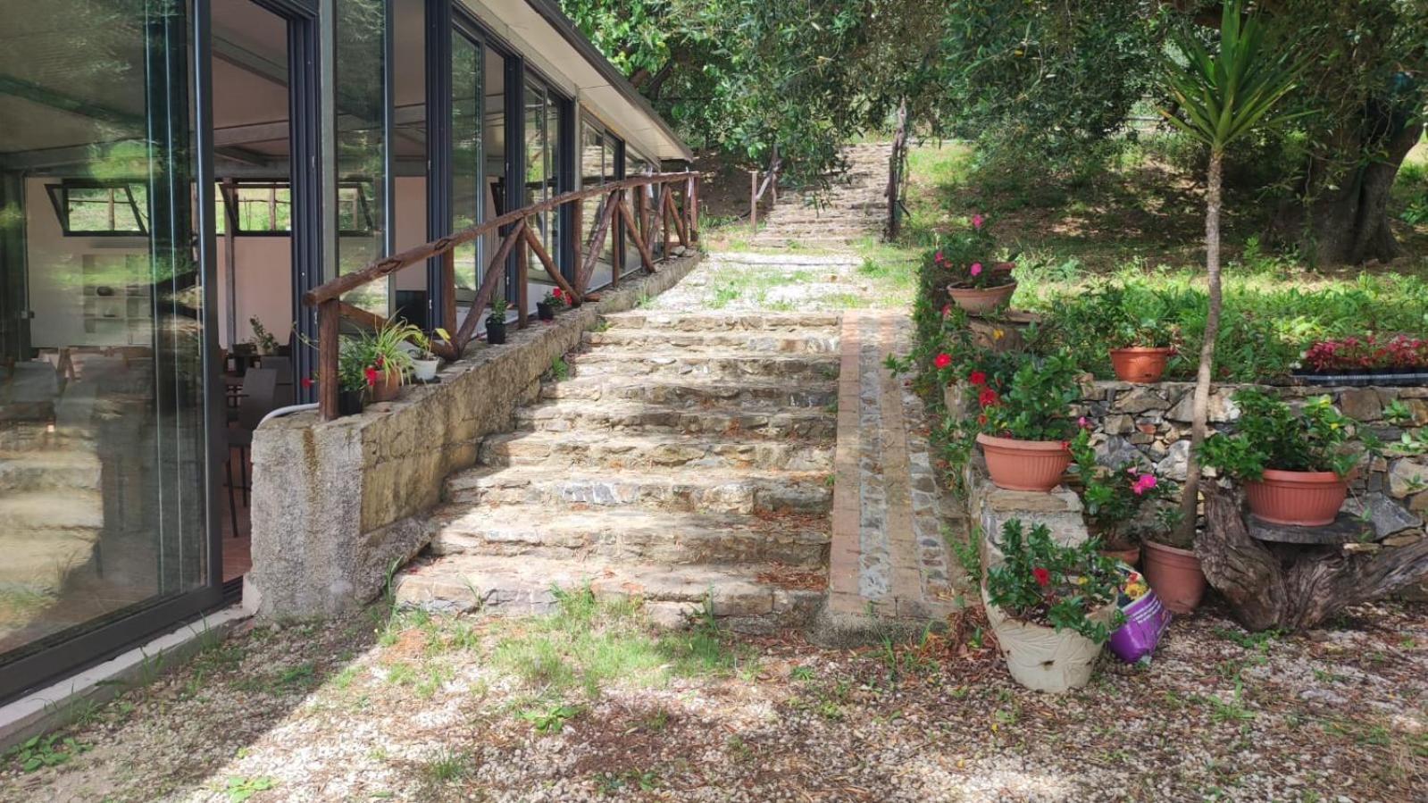 הוילה אשאה Agriturismo La Focazza מראה חיצוני תמונה
