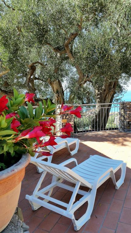 הוילה אשאה Agriturismo La Focazza מראה חיצוני תמונה