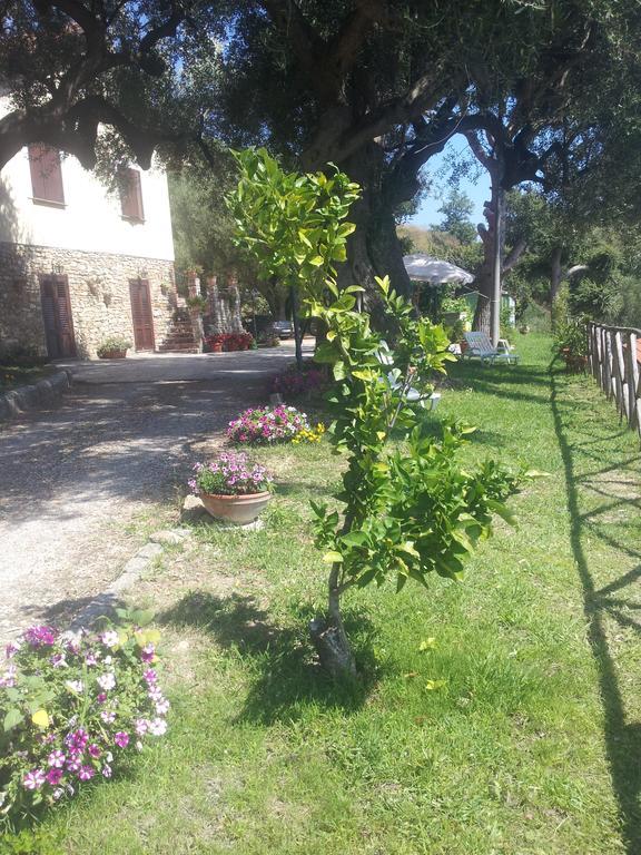 הוילה אשאה Agriturismo La Focazza מראה חיצוני תמונה