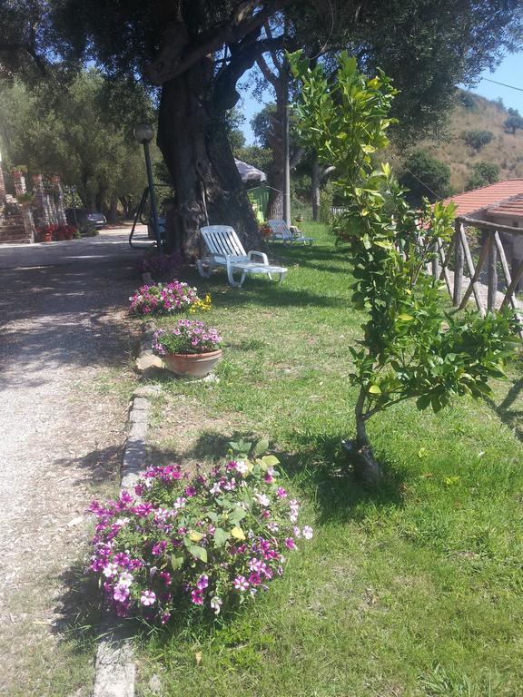 הוילה אשאה Agriturismo La Focazza מראה חיצוני תמונה